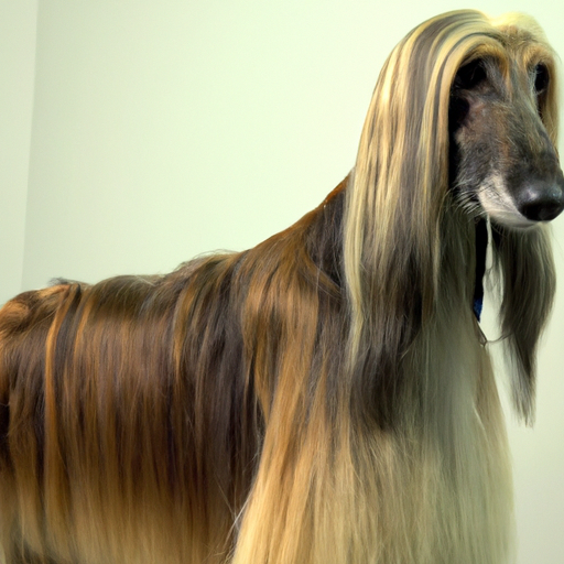 Afghan Hound historical records and pedigrees